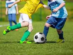 商业汇票期,限差异解析,承兑提示与,FB体育平台,FB体育官方网站,FB体育登录入口,FB体育app下载