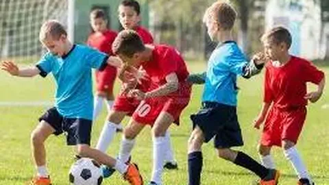 FB体育 产品 085241 8yf