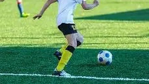 CBA联赛全面解析：