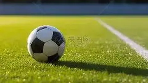 FB体育 产品 091823 1dv