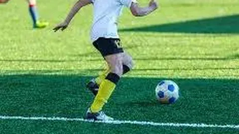 体育快讯AI汇总：11月23日体育焦点速览