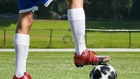 FB体育 资讯 085202 fh9